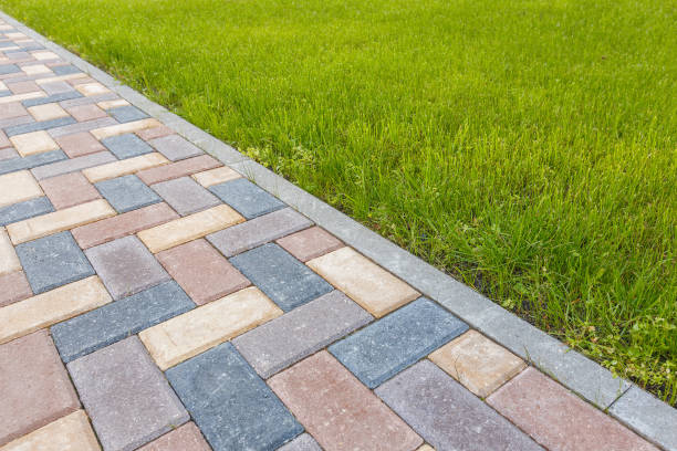 Best Residential Paver Driveway  in Abbeville, GA